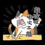 肥貓躺躺(上班鳥事)