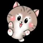 Cats! For reply