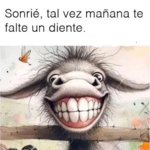 iYy8cD