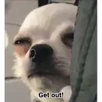 Cute