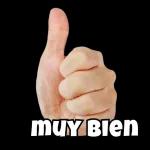 Material del artículo