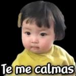 Recuerda que te quiero mucho...