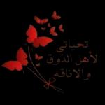 Abbbbbb1000000A66666D100000beleesههههه