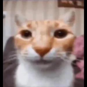 wKndHS