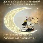 Nacht Mond	