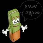 רועי 2
