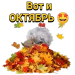 мой