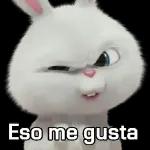 Que haces?