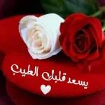 குடற்பி