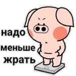 мой1 