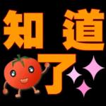 可愛蕃茄-大字超實用日常生活用語