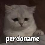 BAÑO! BAÑO! BAÑO! BAÑO!