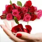naseer