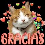ya no me quieres...
