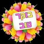 יכול ? אני יכול