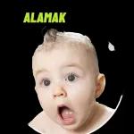 السلام عليكم
ورحمة الله وبركاته