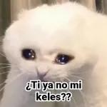 pendejadas