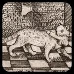 Medieval Cats