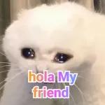 memes