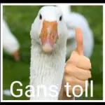 Gans toll~