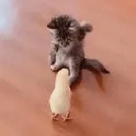 This is a plate of delicious biryani.