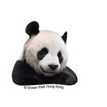 香港海洋公園 - 《大熊貓安安可可日常篇》