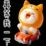 湯圓鴨5：貓貓頭套