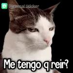HOLAAAA