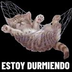 estoy durmiendo