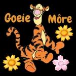 GOEIE MÔRE
Hoop jy het 'n
AWESOME
dag!!