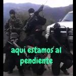 EQUIPO 08 CJNG EQUIPO N PANTERAS N