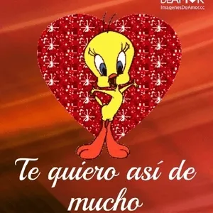 KVgttK
