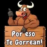Señor perdona su idiotez