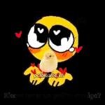 04.06 Pegatinas recomendadas