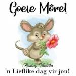 Goeie More