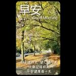 早安這世界(卡地夫) 5