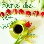Viernes
