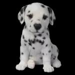 cute animal