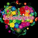 buona
notte