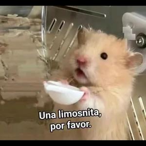 Una limosnita, por favor. - getsticker.com