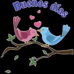 buenos dias
