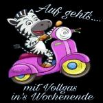 Verschiedene Arten von Aufklebern👇🏻