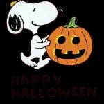 HAPPY HALLOWEEN