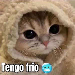 Tengo frio - getsticker.com
