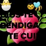 reir