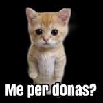 siguen contando