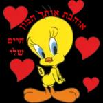 שבת טוב