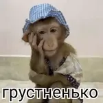мой1 