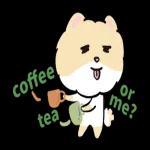 博美狗AB-不正经动起来