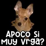 Te invito a comer.no me Krys 